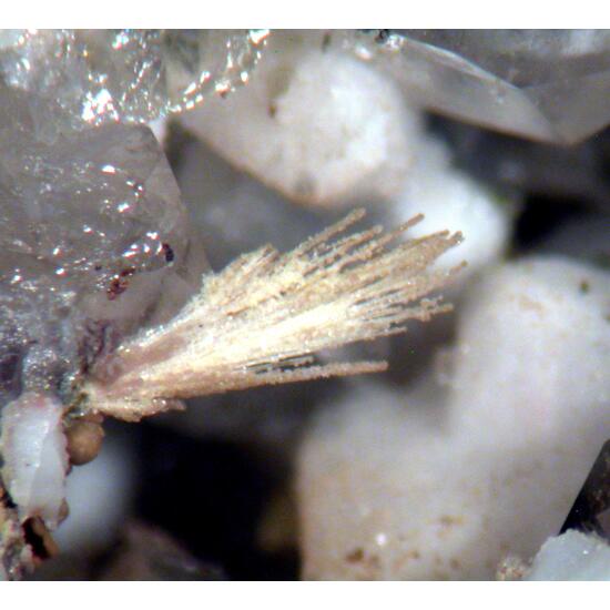 Jervisite & Thortveitite