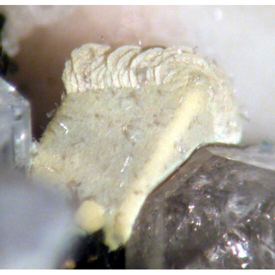 Hellandite-(Y) & Gadolinite-(Y)