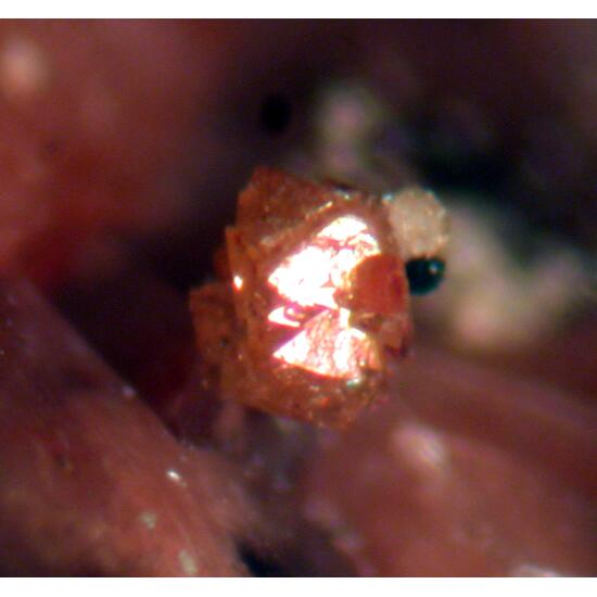 Xenotime-(Y) & Fluorite