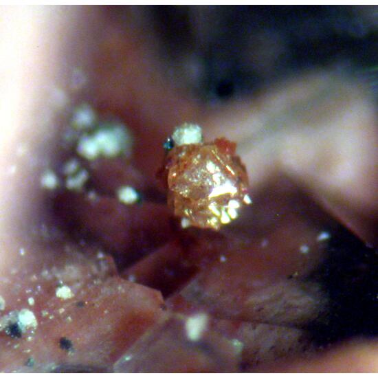 Xenotime-(Y) & Fluorite