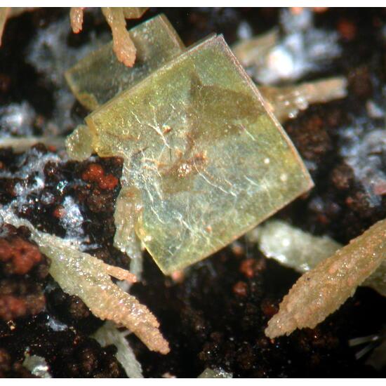 Wulfenite & Mimetite