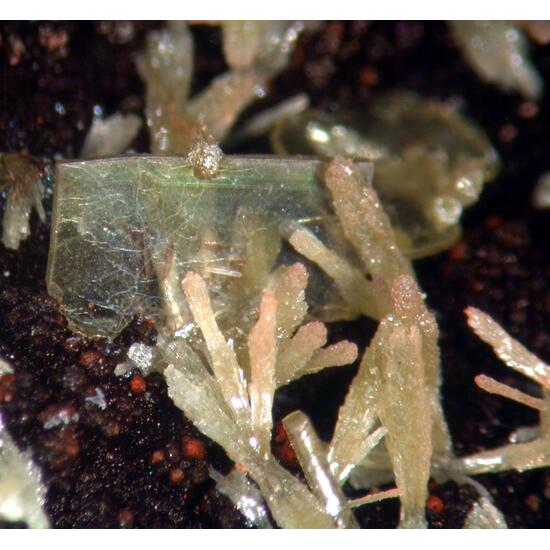 Wulfenite & Mimetite