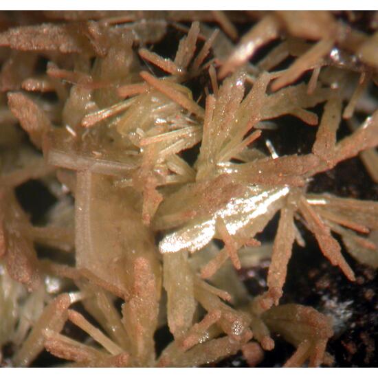 Wulfenite & Mimetite