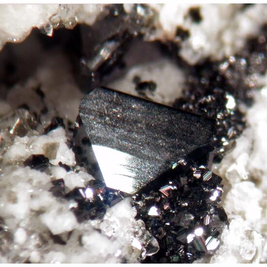 Anatase & Magnetite