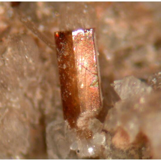 Nenadkevichite Fluorite & Catapleiite