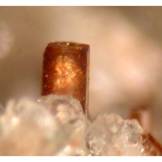 Nenadkevichite Fluorite & Catapleiite