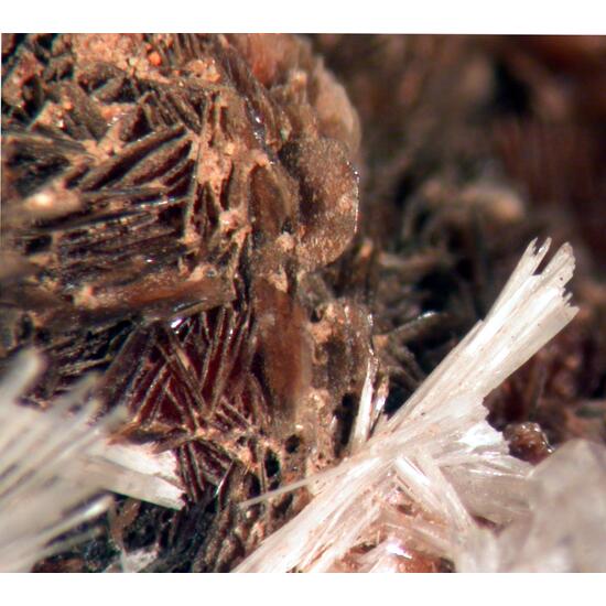 Nadorite & Valentinite