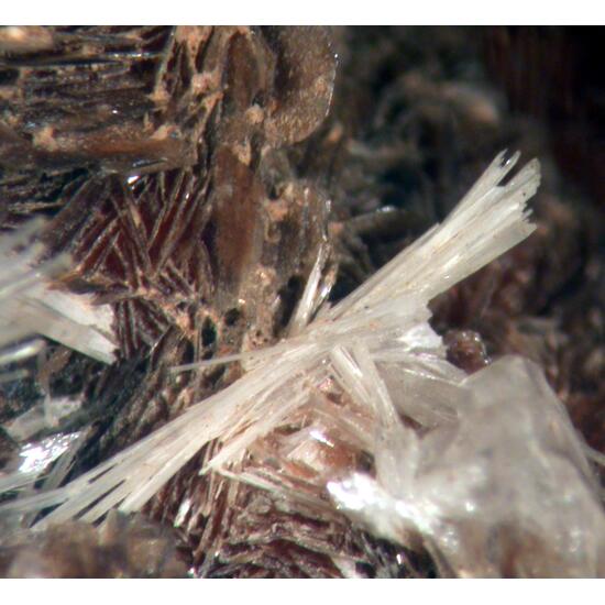 Nadorite & Valentinite