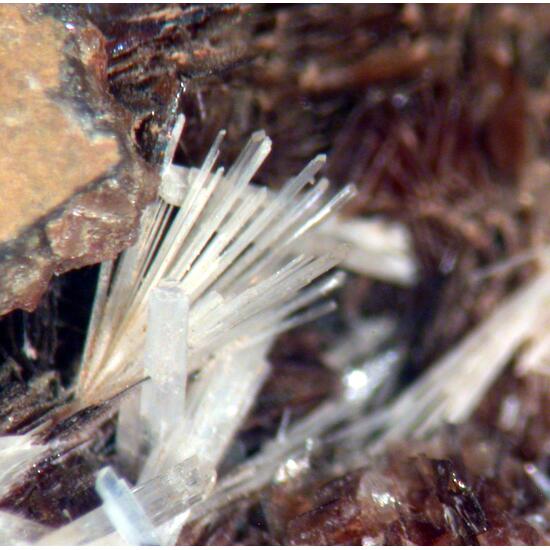 Nadorite & Valentinite