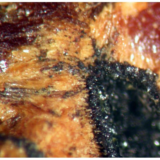 Tsumcorite & Duftite