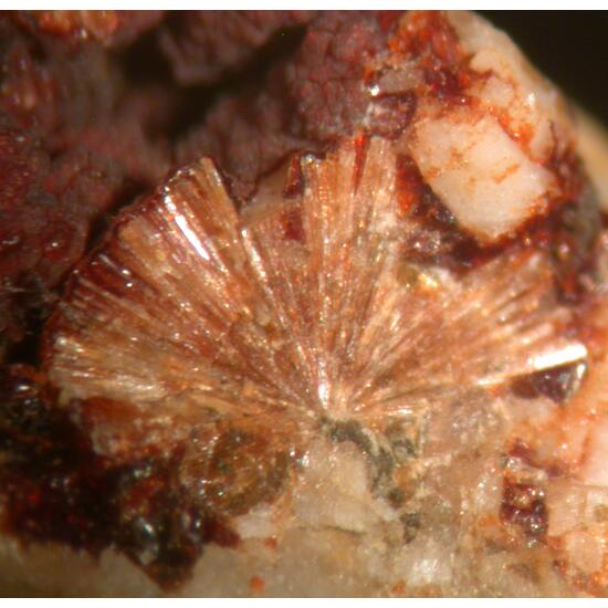 Lemoynite & Hisingerite