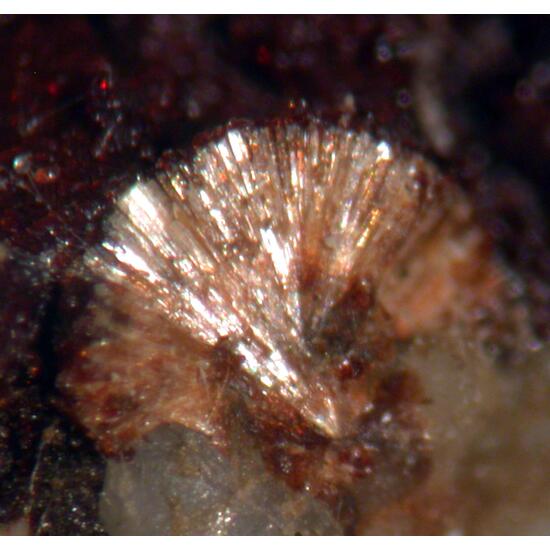 Lemoynite & Hisingerite