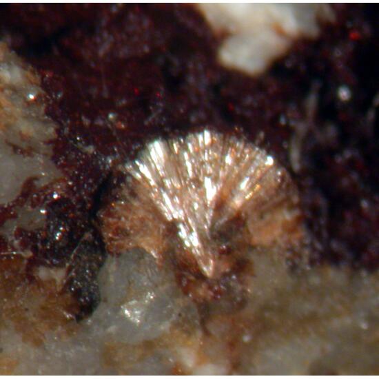 Lemoynite & Hisingerite