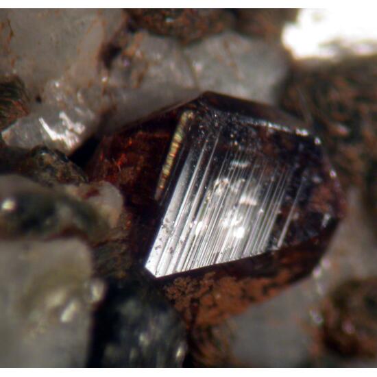 Anatase & Muscovite