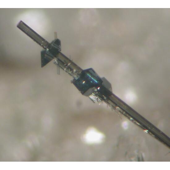 Tourmaline Anatase & Pyrite