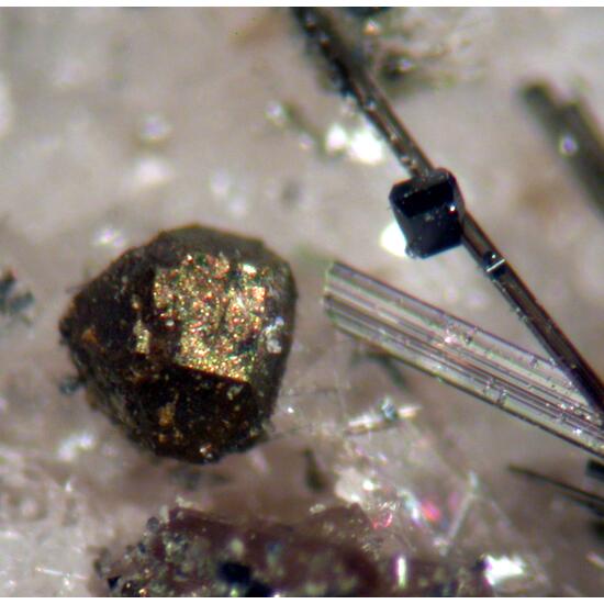 Tourmaline Anatase & Pyrite