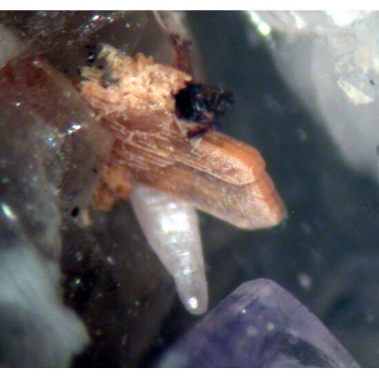 Euxenite-(Y) Synchysite-(Ce) & Fluorite