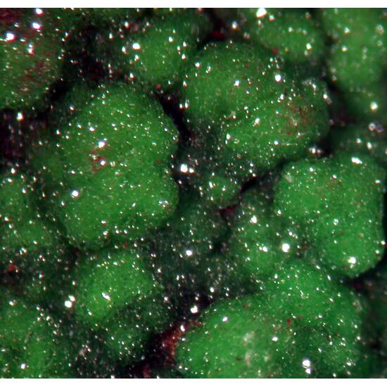 Conichalcite & Calcite