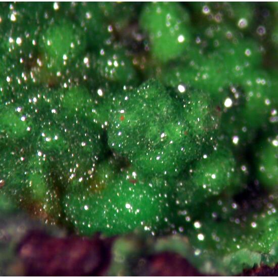 Conichalcite & Calcite