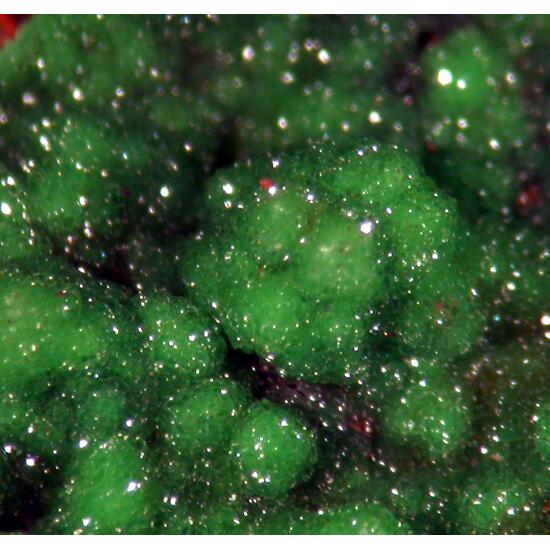 Conichalcite & Calcite