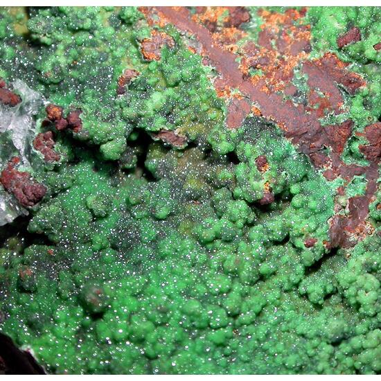 Conichalcite & Calcite