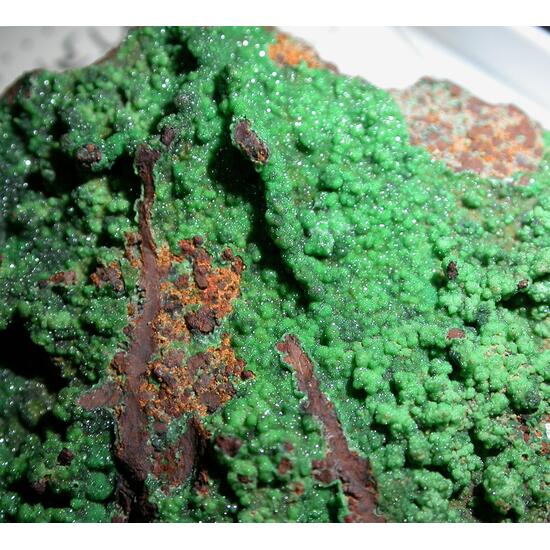 Conichalcite & Calcite