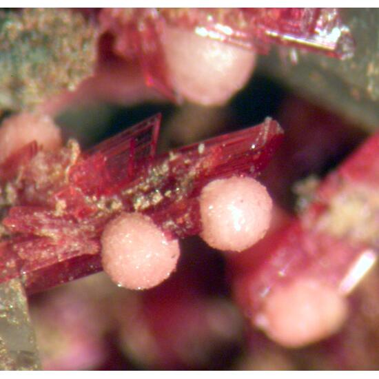 Talmessite & Erythrite