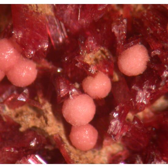 Talmessite & Erythrite