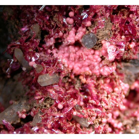 Talmessite & Erythrite