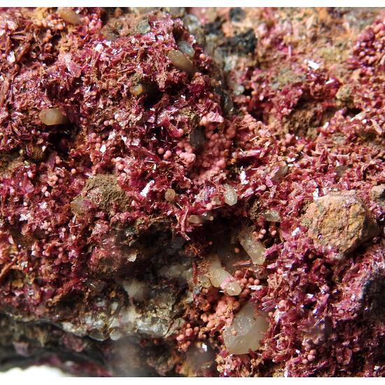 Talmessite & Erythrite