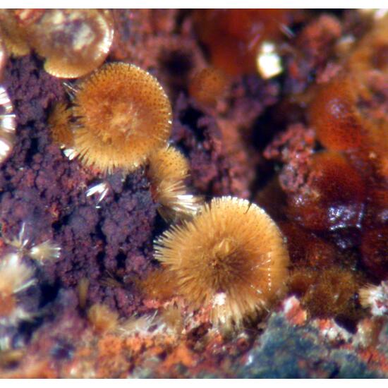 Cacoxenite & Strengite