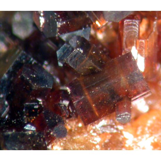 Wulfenite & Vanadinite