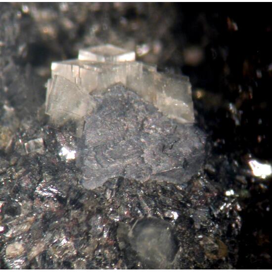 Wurtzite Galena & Dolomite