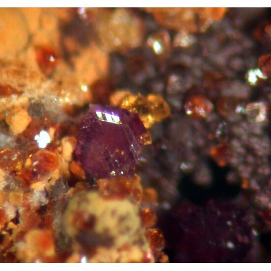 Saléeite Cyrilovite Leucophosphite & Frondelite