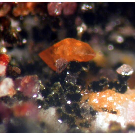 Natrodufrénite Leucophosphite Cyrilovite & Laueite