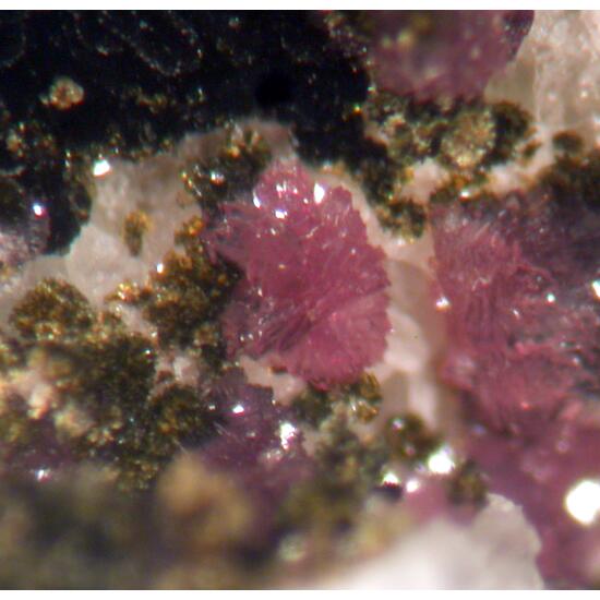 Natrodufrénite Leucophosphite Cyrilovite & Laueite