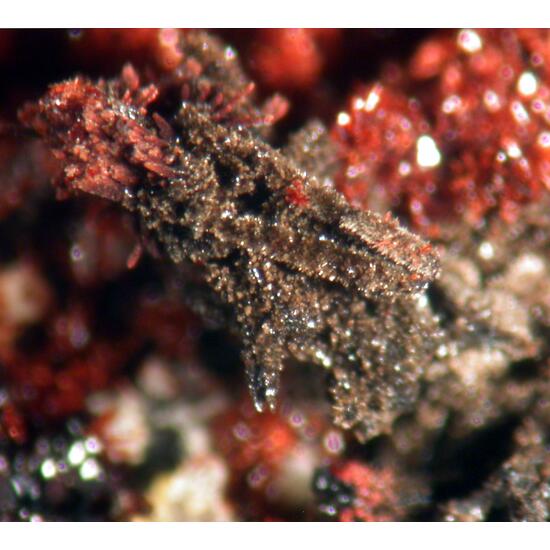 Bermanite Serrabrancaite & Phosphosiderite