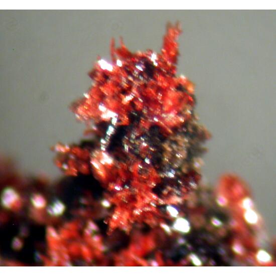 Bermanite Serrabrancaite & Phosphosiderite