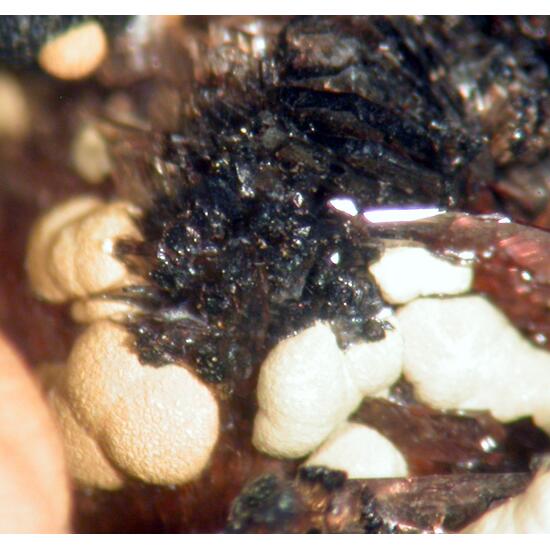 Mitridatite Hureaulite Leucophosphite & Rockbridgeite