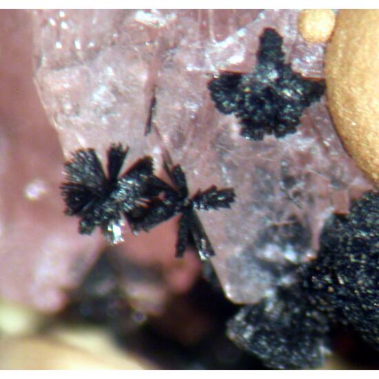 Mitridatite Hureaulite Leucophosphite & Rockbridgeite