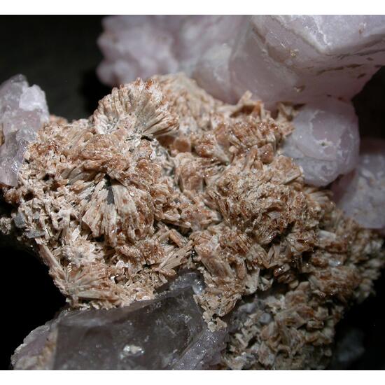 Scepter Quartz & Eosphorite