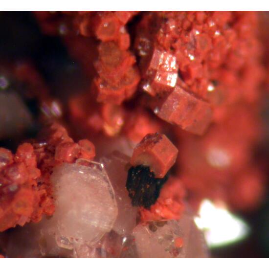 Synchysite-(Ce) Anatase & Fluorite