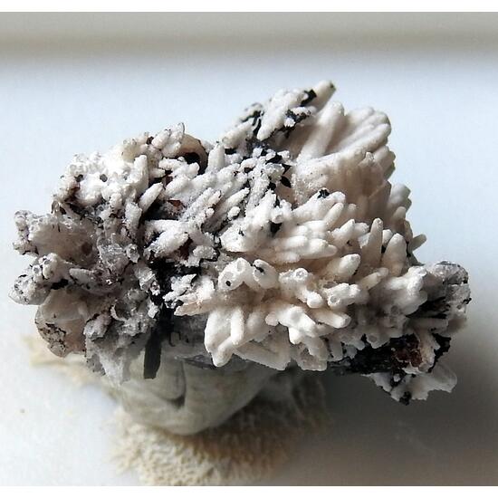 Natrolite & Cancrinite
