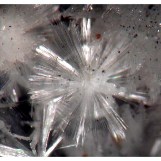 Vladimirite & Aragonite