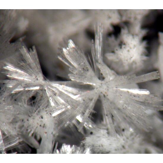 Vladimirite & Aragonite