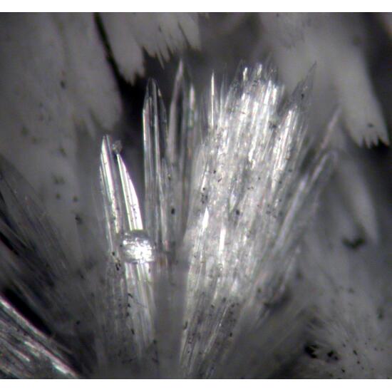 Vladimirite & Aragonite