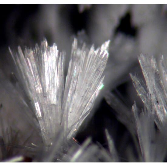 Vladimirite & Aragonite