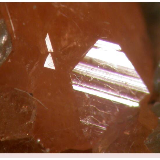 Grossular & Muscovite