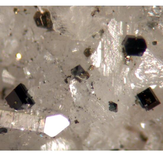 Anatase Tourmaline Calcite & Apatite