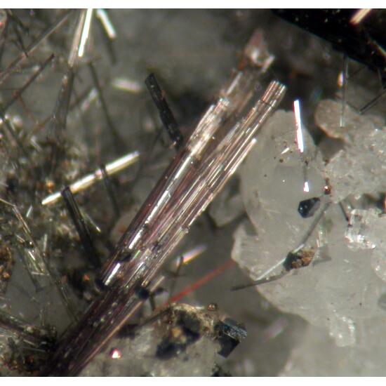 Anatase Tourmaline Calcite & Apatite